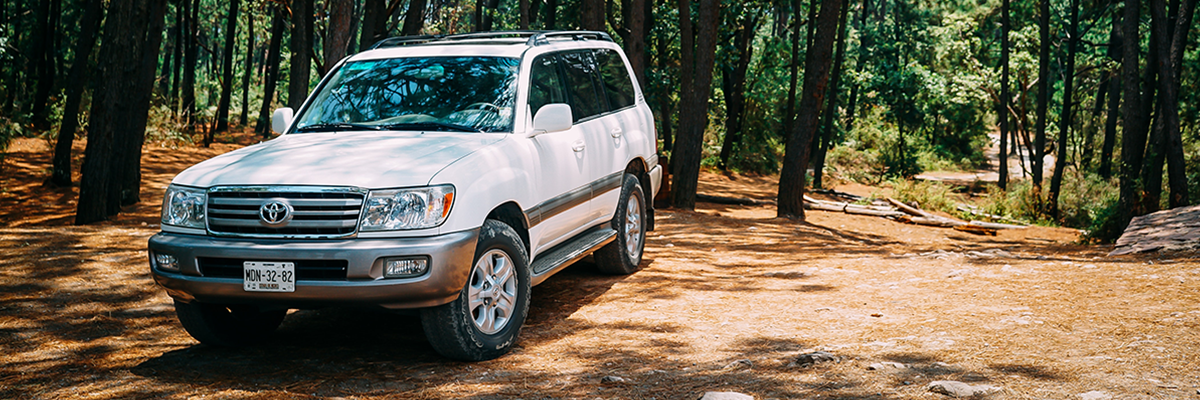 How to Find Your Toyota, Lexus, or Scion Paint Code