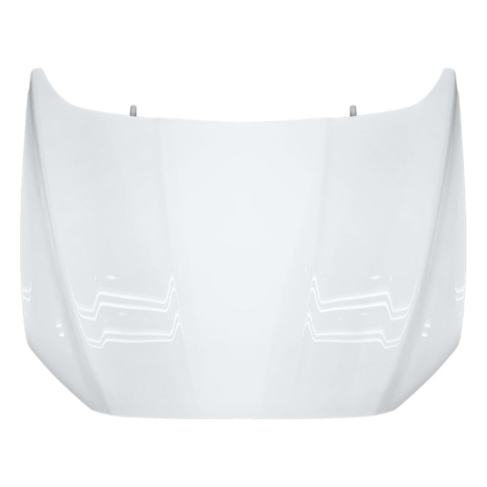 Ford Fusion Hood - FO1230301