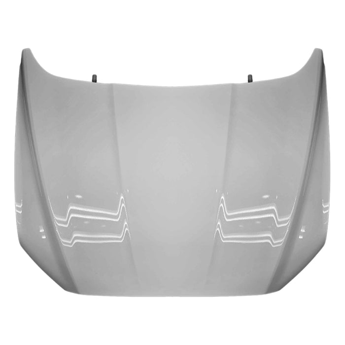 Ford Fusion Hood - FO1230301