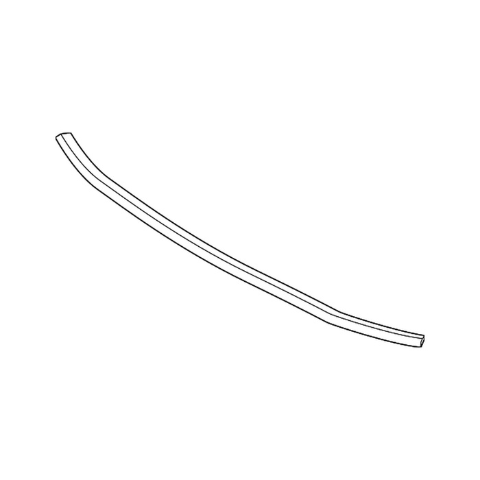 BM1007110