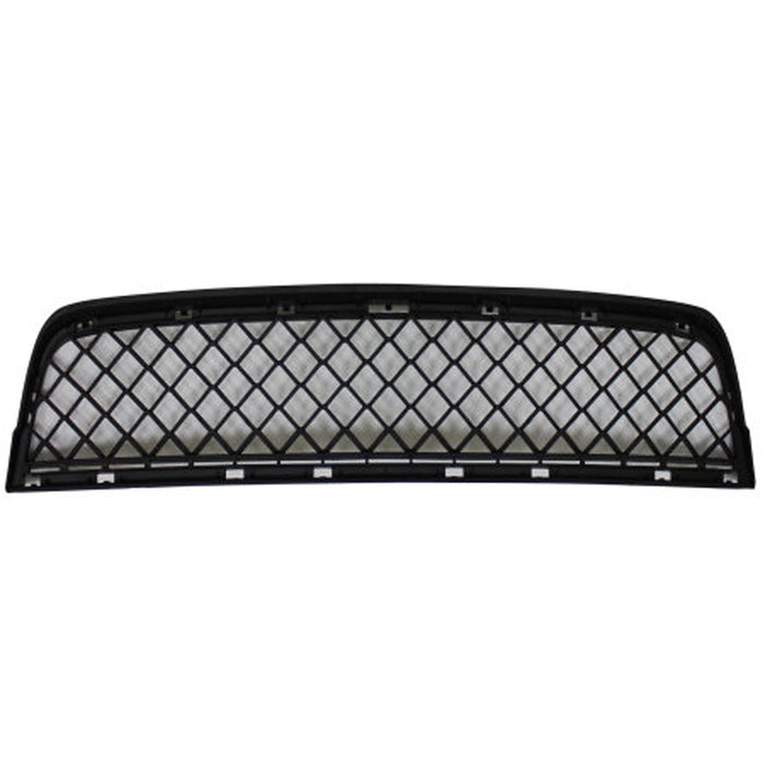 BMW X3 Front Bumper Grille F25 Lower W/O M Pkg - BM1036136