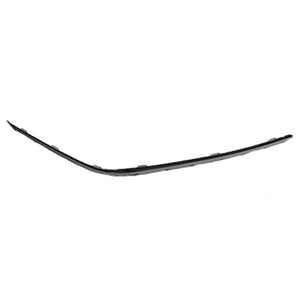 Front Passenger Side Bumper Molding image