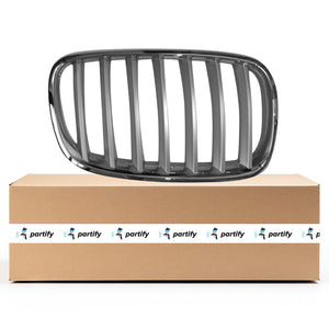 Passenger Side Grille image