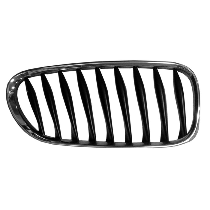 BMW Z4 Passenger Side Grille Gray Assembly - BM1200217