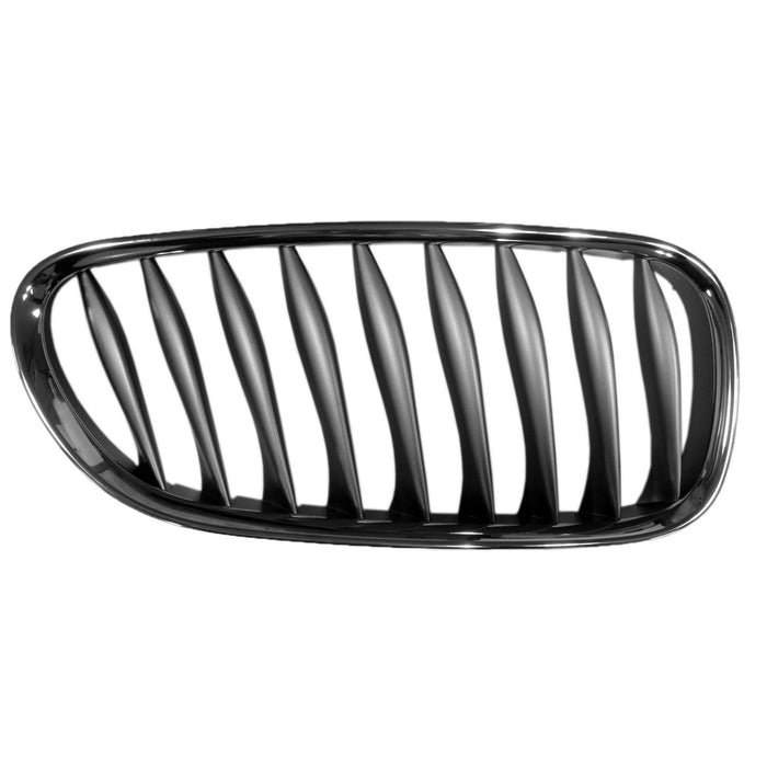 BMW Z4 Driver Side Grille Graphite Assembly - BM1200220