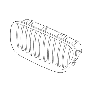 Passenger Side Grille image