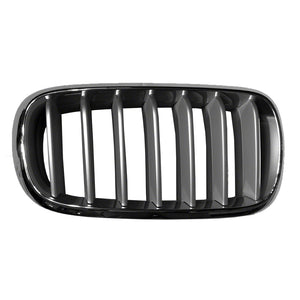 Passenger Side Grille image