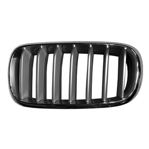 Driver Side Grille image