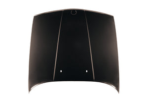 Hood Panel Assembly image