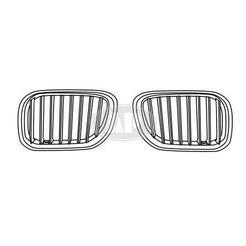 BMW X5 OEM Grille Driver Side Chrome/Silver With Titanium - 51137124815