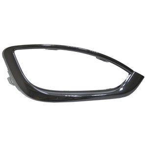 Front Passenger Side Bumper Molding image