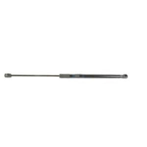 Tailgate Lift Support image