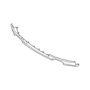 Front Bumper Molding image