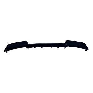 Rear Bumper Valance / Grille Kit image