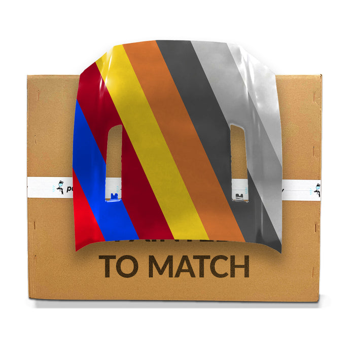 Ford Mustang Boss 302/GT Hood - FO1230304