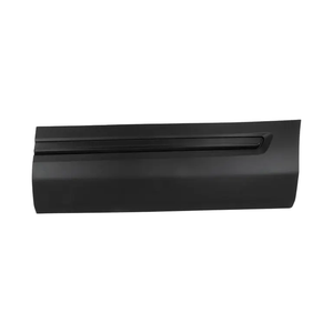 Rear Driver Side Door Molding image