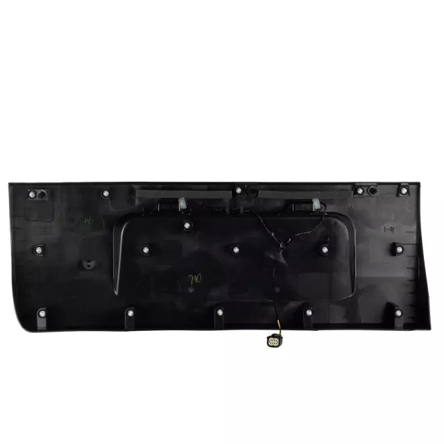Ford E-Transit/Transit-150/Transit-250/Transit-350/Transit-350 HD Hinged Door/Carbon Tailgate Molding - FO1904155