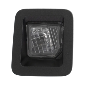 Passenger Side License Plate Light Assembly image