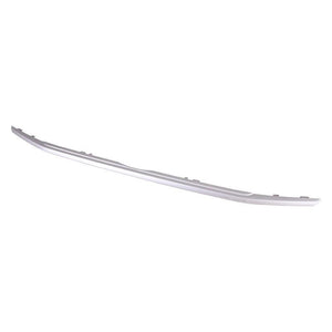 Lower Grille Molding image