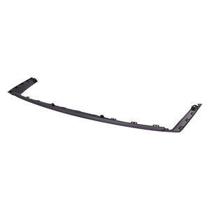 Rear Bumper Valance / Grille Kit image