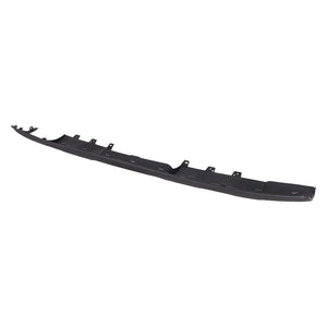 Rear Bumper Valance / Grille Kit image