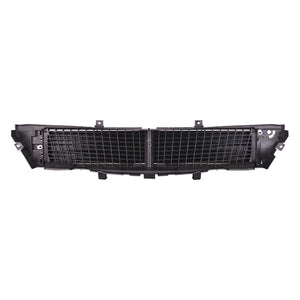 Grille Air Intake image