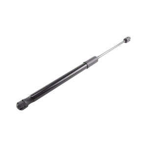 Hood Lift Support Assembly image