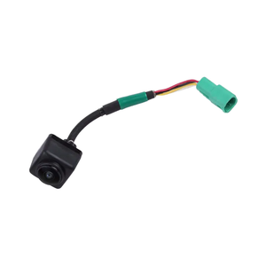 Driver Side Park Assist Camera image