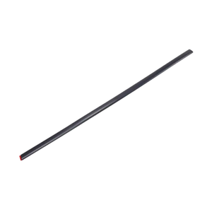 Rear Passenger Side Door Molding image