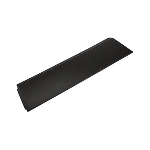 Rear Passenger Side Door Molding image