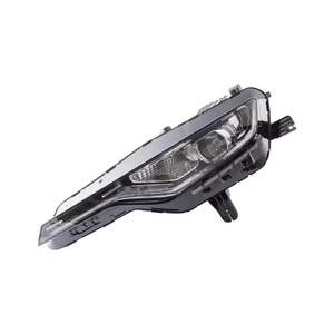 Driver Side Headlight Assembly image