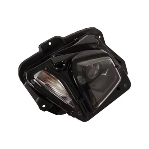 Passenger Side Headlight Assembly image