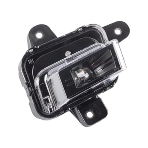 Passenger Side Fog Light Assembly image