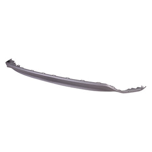 Rear Bumper Valance / Grille Kit image
