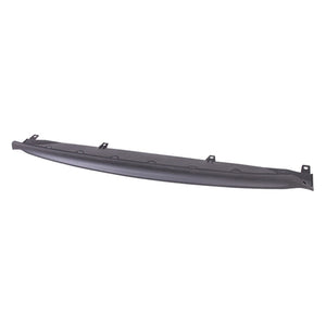 Rear Bumper Valance / Grille Kit image