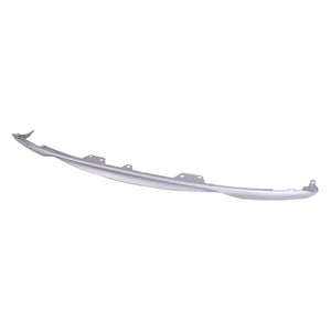 Rear Bumper Valance / Grille Kit image