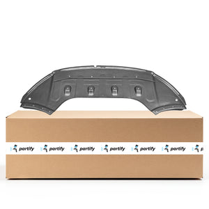 Front Lower Undercar Shield image