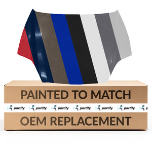 Hood Panel Assembly image