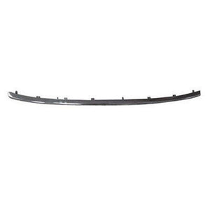 Lower Grille Molding image