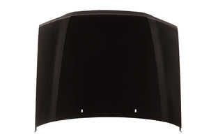 Hood Panel Assembly image