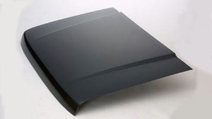 Hood Panel Assembly image