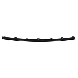 Front Bumper Molding image