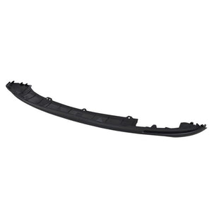 Rear Bumper Valance / Grille Kit image