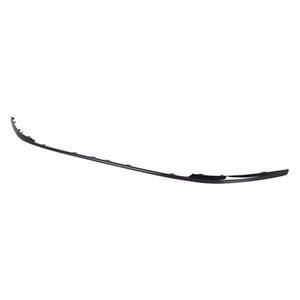 Front Bumper Molding image