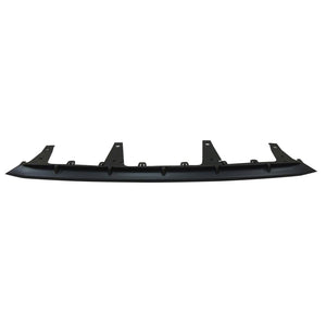 Rear Bumper Valance / Grille Kit image