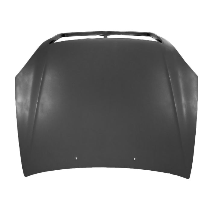 Lexus LS430 Hood - LX1230129