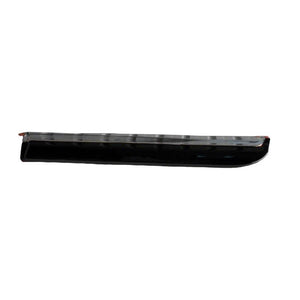 Rear Driver Side Door Molding image