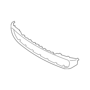 Front Bumper Molding image