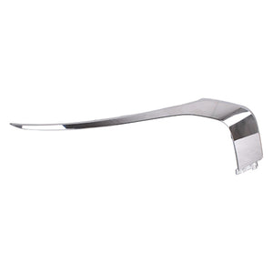 Front Passenger Side Bumper Molding image
