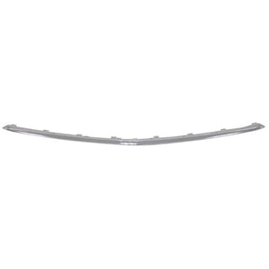 Front Bumper Molding image